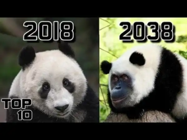 Video: Top 10 Animals That Will CHANGE In Your Lifetime